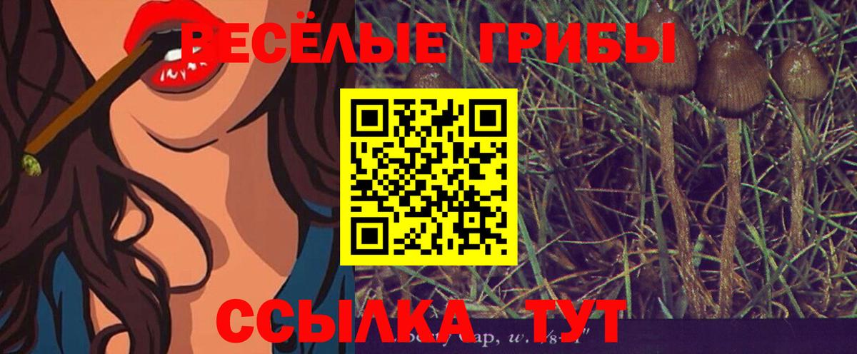Псилоцибиновые грибы MAGIC MUSHROOMS  Вход с VPN  Магадан 