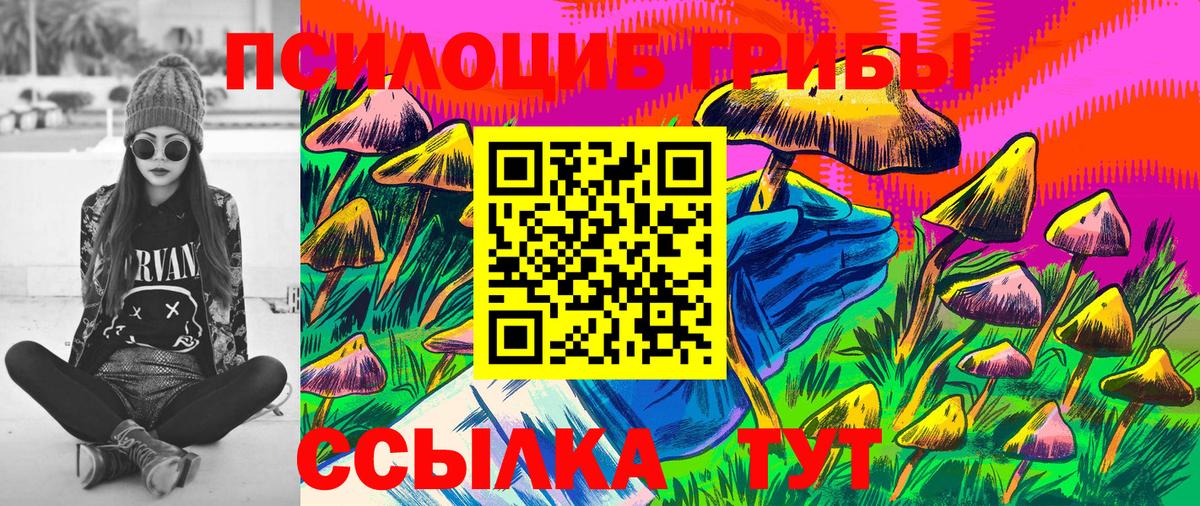 Галлюциногенные грибы прущие грибы Магадан
